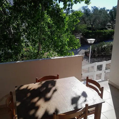 Gallo Con Piscina فيستَ