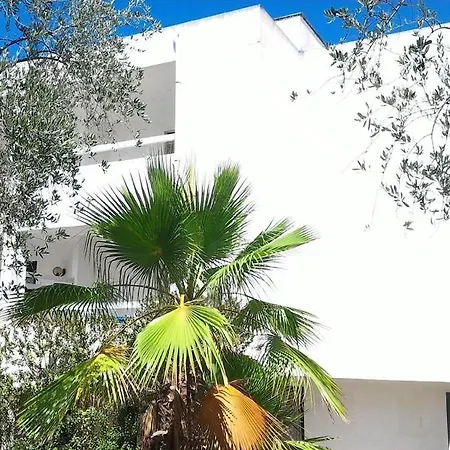 Gallo Con Piscina Vieste